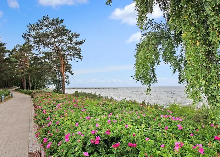 펜션 Seebad 루브민